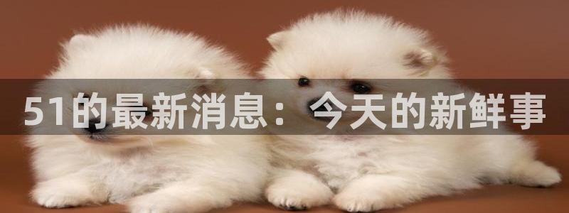 51的最新消息：今天的新鲜事